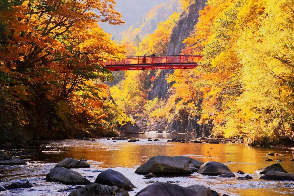 09 DAYS Hokkaido (15 Oct)
