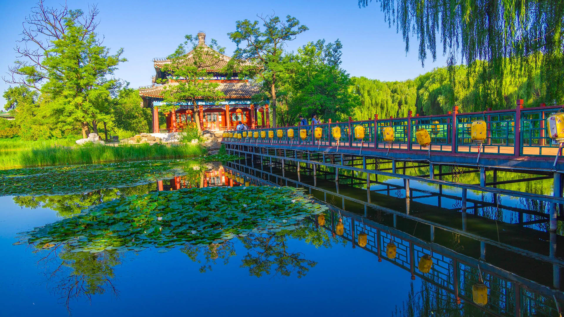 10 Days Beijing Hangzhou Shanghai By SQ (16 Mar)