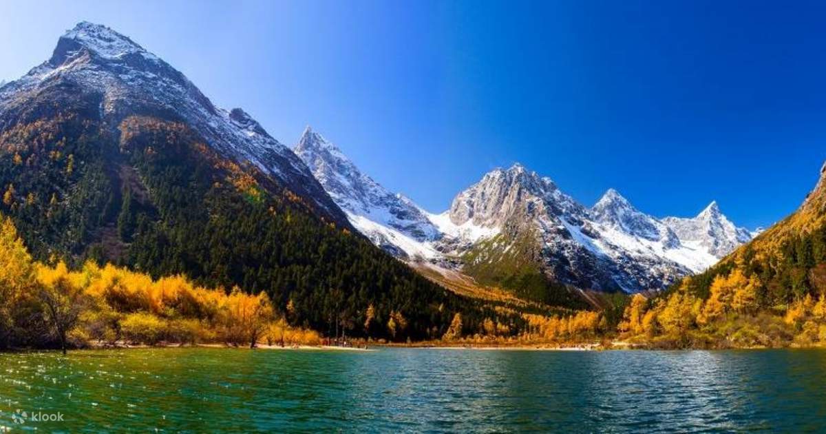 10 Days Popular Chongqing Jiuzhaigou + Bipenggou by MH (25 Jun)