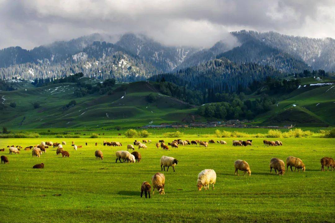 13 Days Popular Northern Xinjiang By CX & MH (16 Aug)